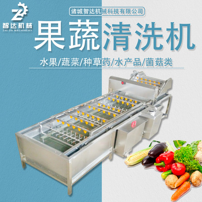 果蔬清洗機(jī)廠家報價 果蔬清洗機(jī)批發(fā)