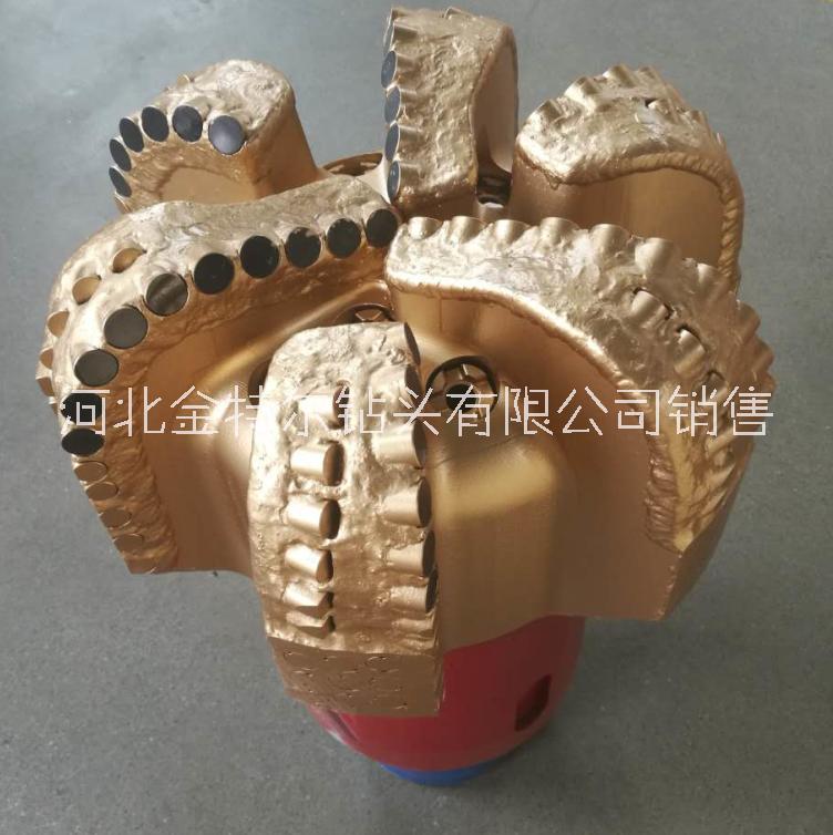 雙排齒加強(qiáng)復(fù)合片鉆頭9寸半鋼體PDC鉆頭 金剛石鉆頭