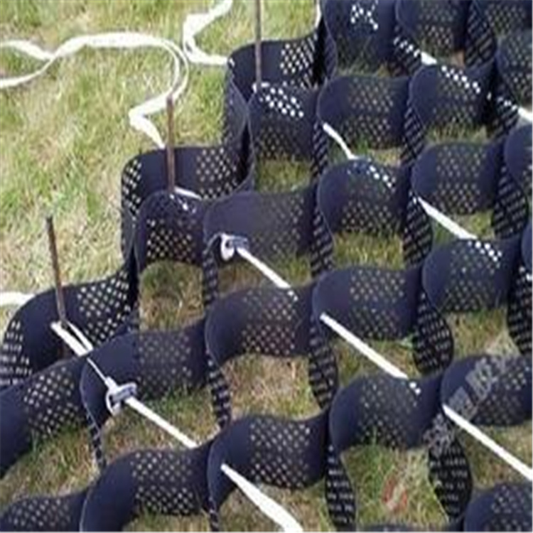 山東世杰土工格室