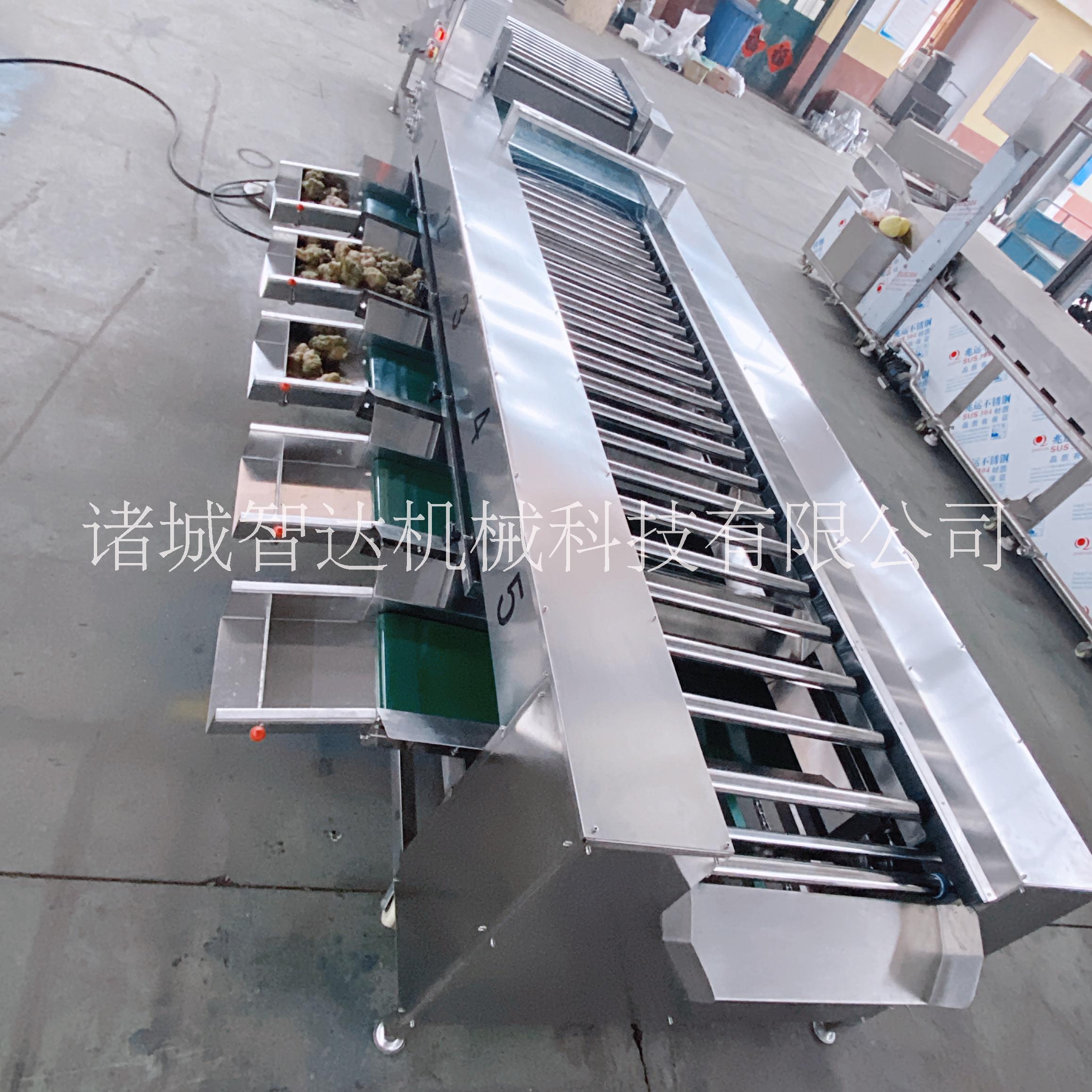 滾杠分選機  廠家加工定制