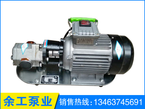 不鑄鋼WCB手提泵批發(fā)廠家  不鑄鋼WCB手提泵價格