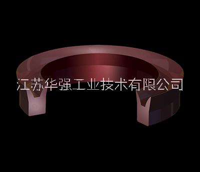Chesterton/赤士盾 10K/22KN桿密封和活塞密封 美國進口密封件
