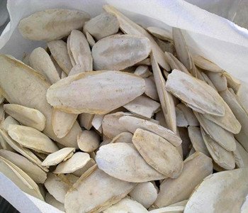 墨魚(yú)骨進(jìn)口擁有準(zhǔn)入的國(guó)查詢(xún)
