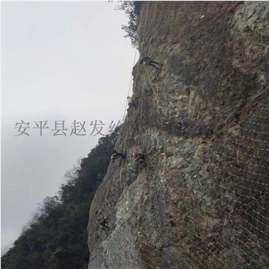 山體柔性防護 山體柔性防護網(wǎng)廠家 山體柔性防護廠家 山體柔性防護價格 直銷 哪里有 哪里好