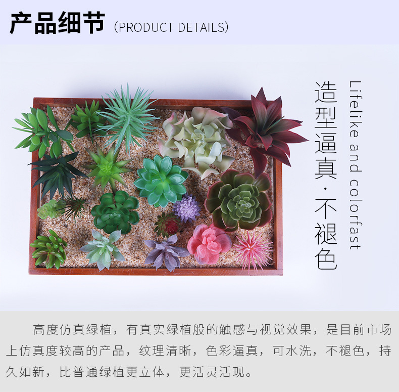 人造多肉植物
