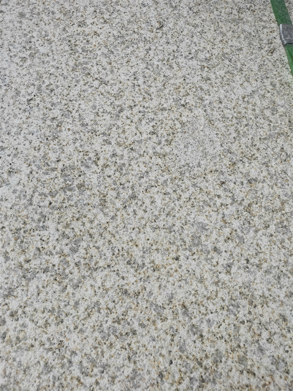 黃金麻荔枝面哪家好