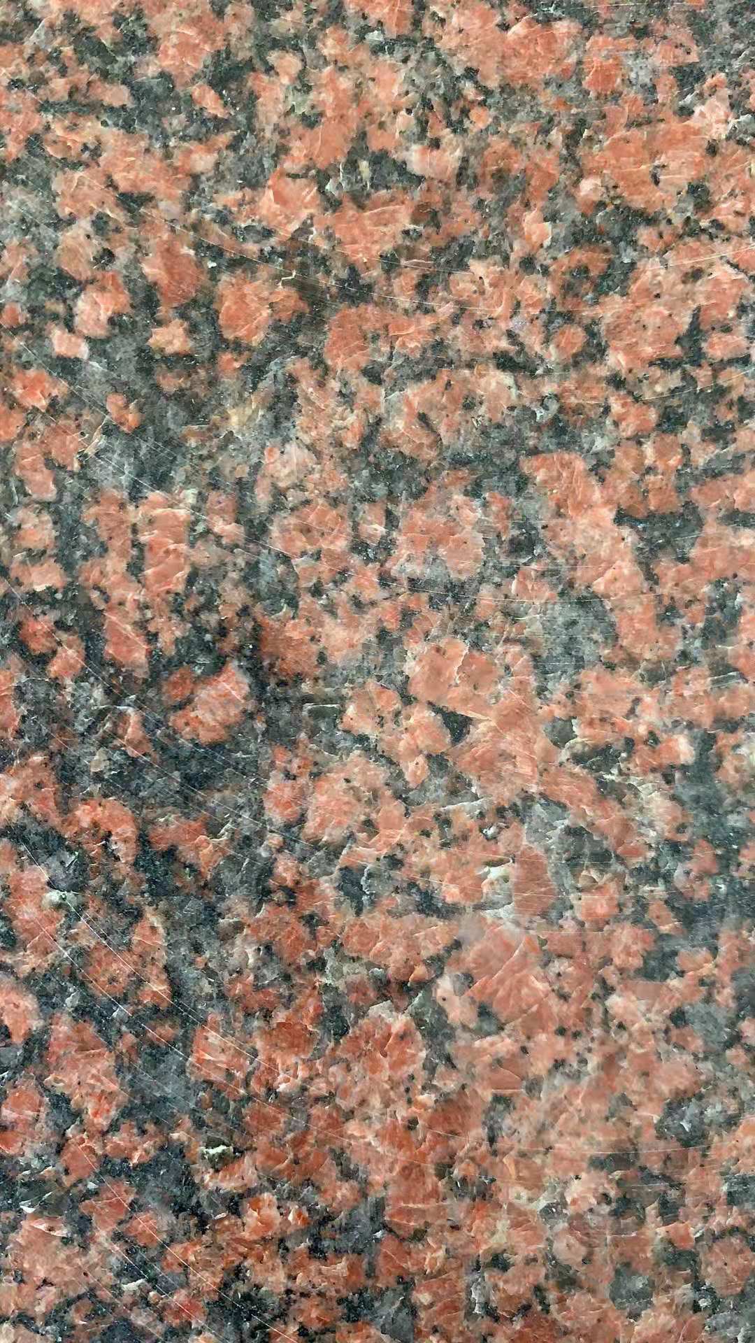 四川旺蒼紅加工廠 旺蒼紅價格