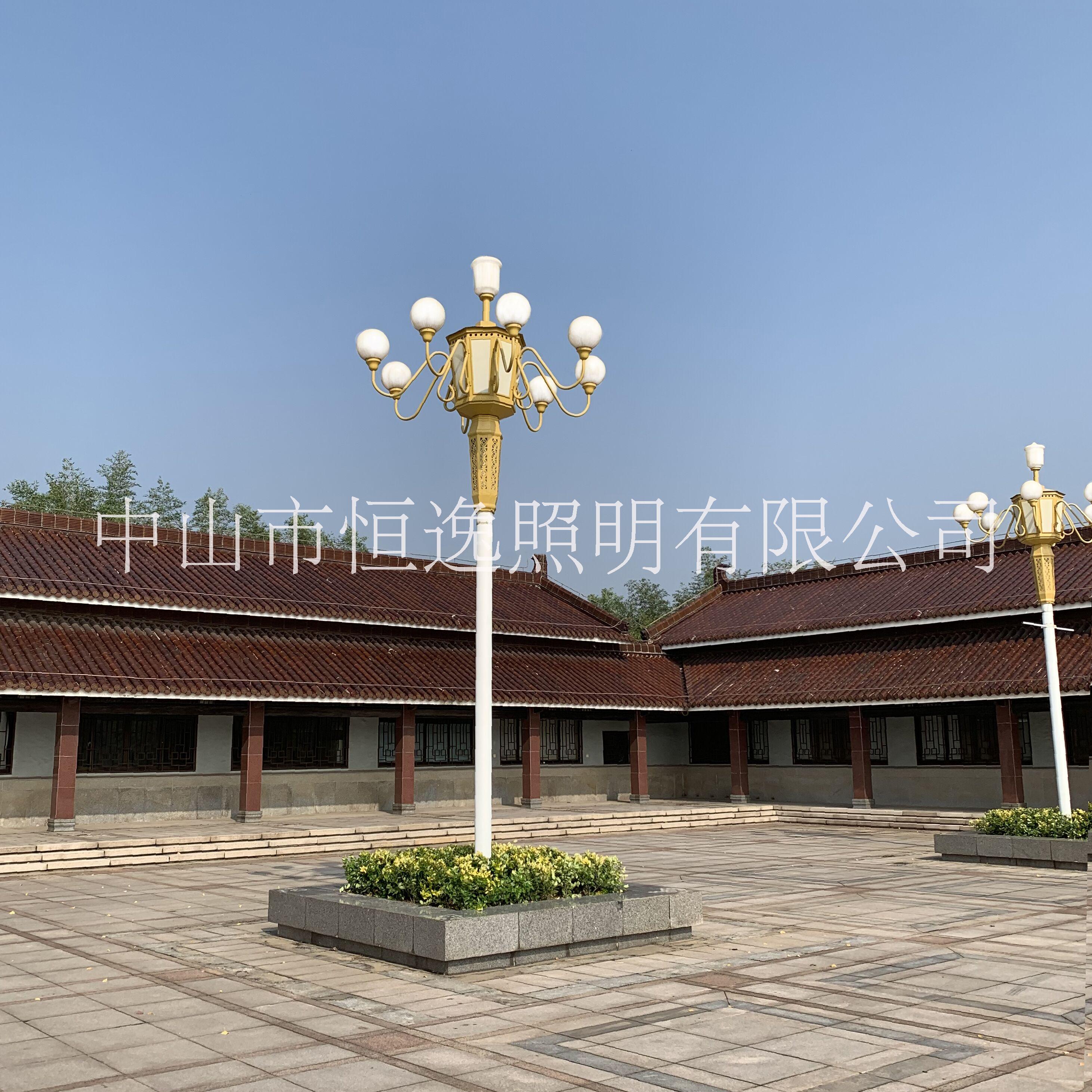 恒逸照明戶外大型照明玉蘭燈道路燈