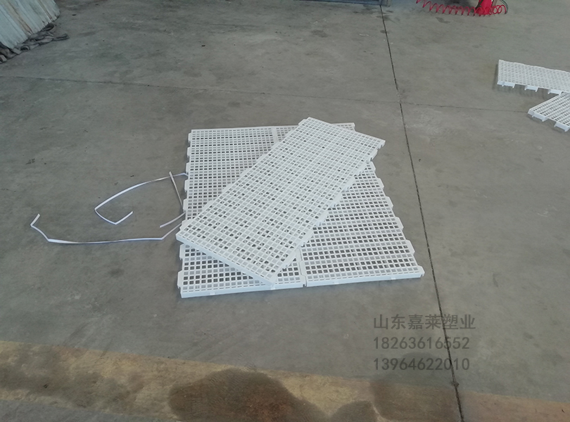 鴨漏糞板  鴨舍漏糞板 鴨用漏糞板批發(fā) 鴨用漏糞板批發(fā)塑料漏糞板廠家