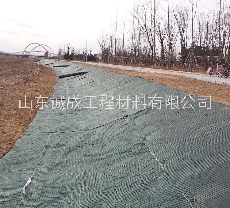 加筋抗沖生態(tài)毯 加筋植生毯 加筋抗沖毯  加筋防沖毯護(hù)坡