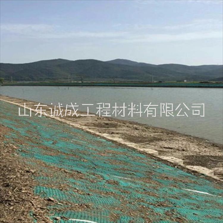 高速公路護(hù)坡施工 加筋椰絲毯 加筋防護(hù)毯  河道綠化施工