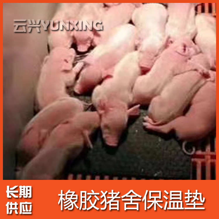青島云興 橡膠牛床墊  母豬產(chǎn)床墊 母豬定位欄橡膠墊  公豬采精墊  小豬保育墊 小豬育肥墊