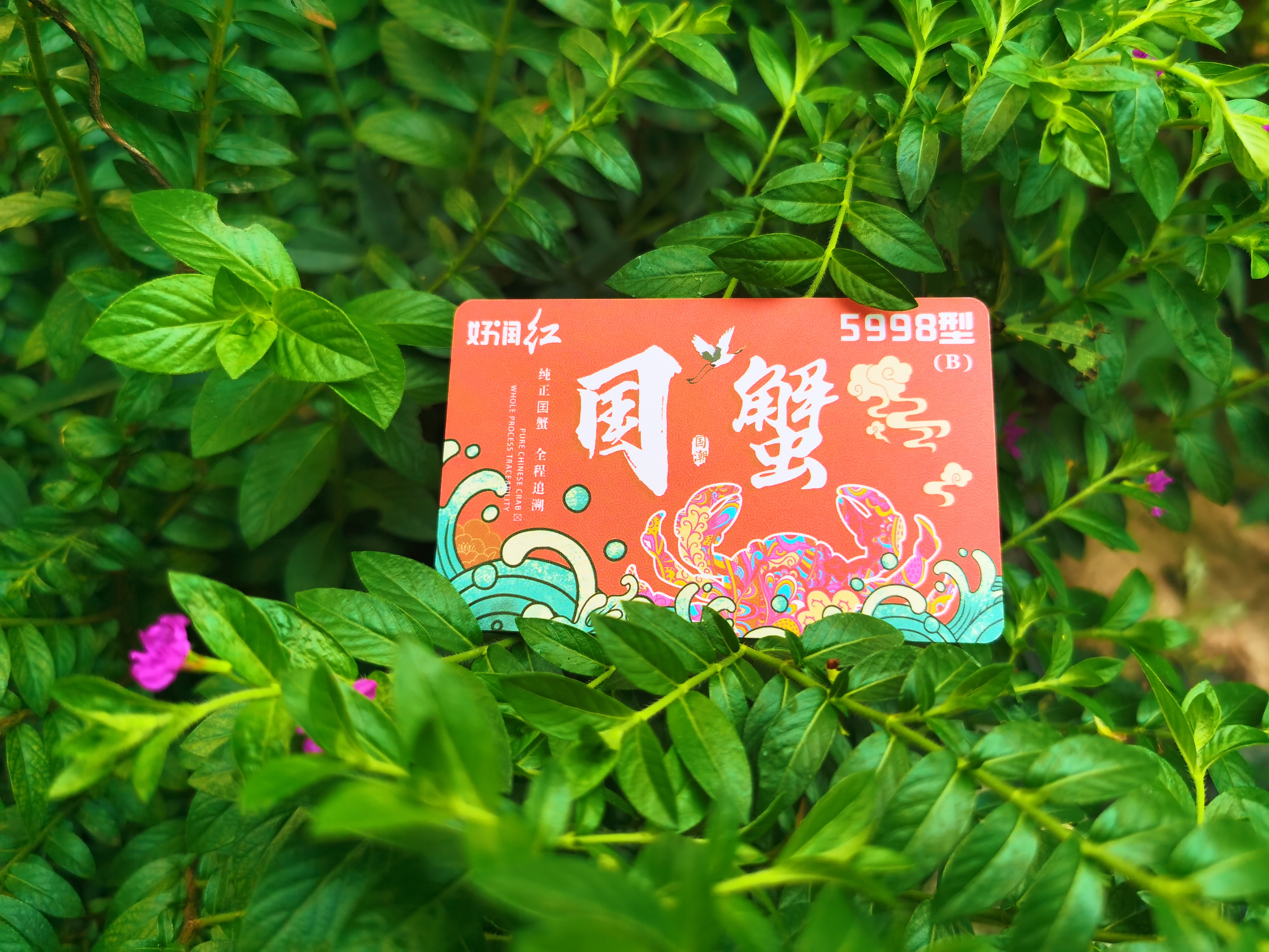 江蘇好潤紅5998B型大閘蟹禮盒供應(yīng) 中秋禮品卡禮盒團(tuán)購 大閘蟹禮卡【江蘇好潤生物產(chǎn)業(yè)集團(tuán)股份有限公司】