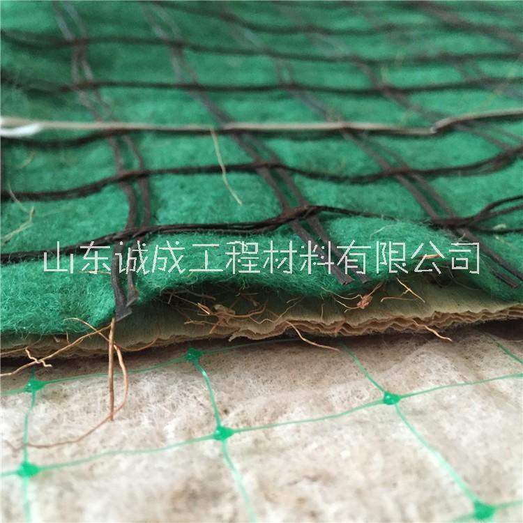 護(hù)坡植生毯廠家 抗沖生態(tài)毯 加筋防沖毯 高速公路邊坡生態(tài)防護(hù)