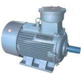 YFB2系列粉塵防爆三相異步電動(dòng)機(jī)供應(yīng)商價(jià)格、防爆三相異步電動(dòng)機(jī)圖片