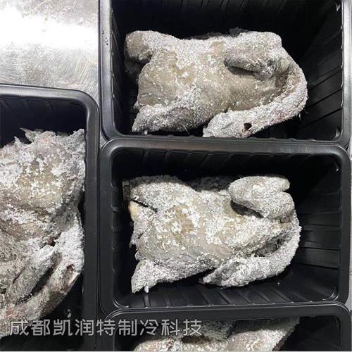 日照柜式液氮速凍機(jī)/海鮮液氮速凍