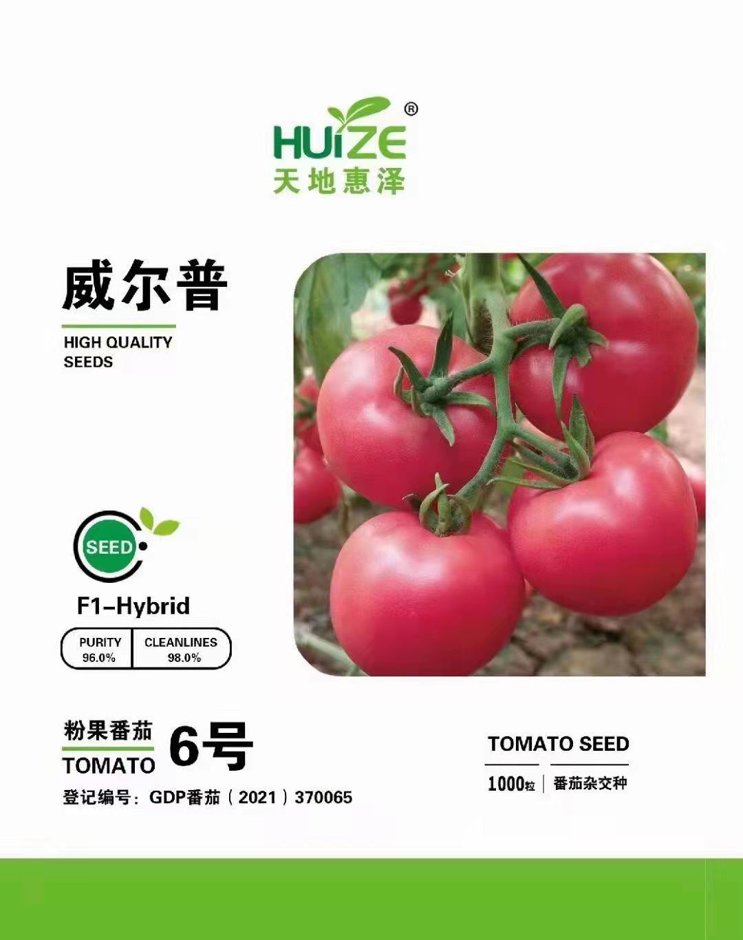 山東青島威爾普6號番茄種子批發(fā)公司銷售價(jià)格 惠澤-威爾普6號番茄種子