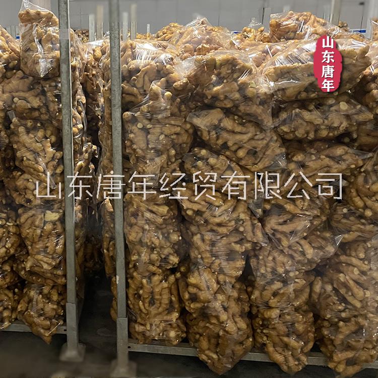 綠色農(nóng)產(chǎn)品 新鮮山東大姜 水洗姜 不帶泥