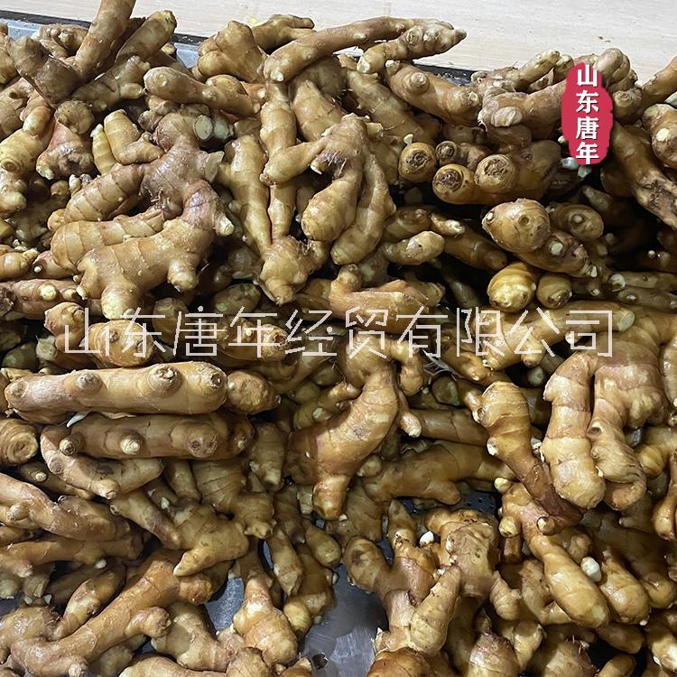 新鮮生姜 蔬菜新姜 月子姜 嫩姜 老姜