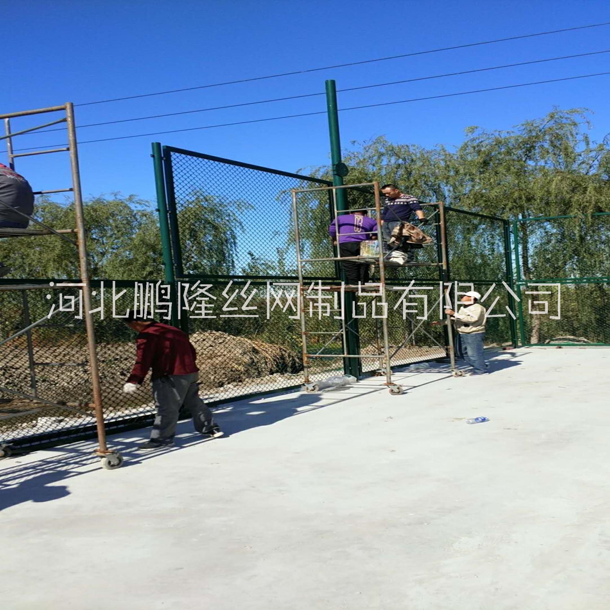 供應(yīng)鵬隆絲網(wǎng) 球場圍網(wǎng) 體育場圍網(wǎng) 體育場護(hù)欄勾花網(wǎng) 實體工廠