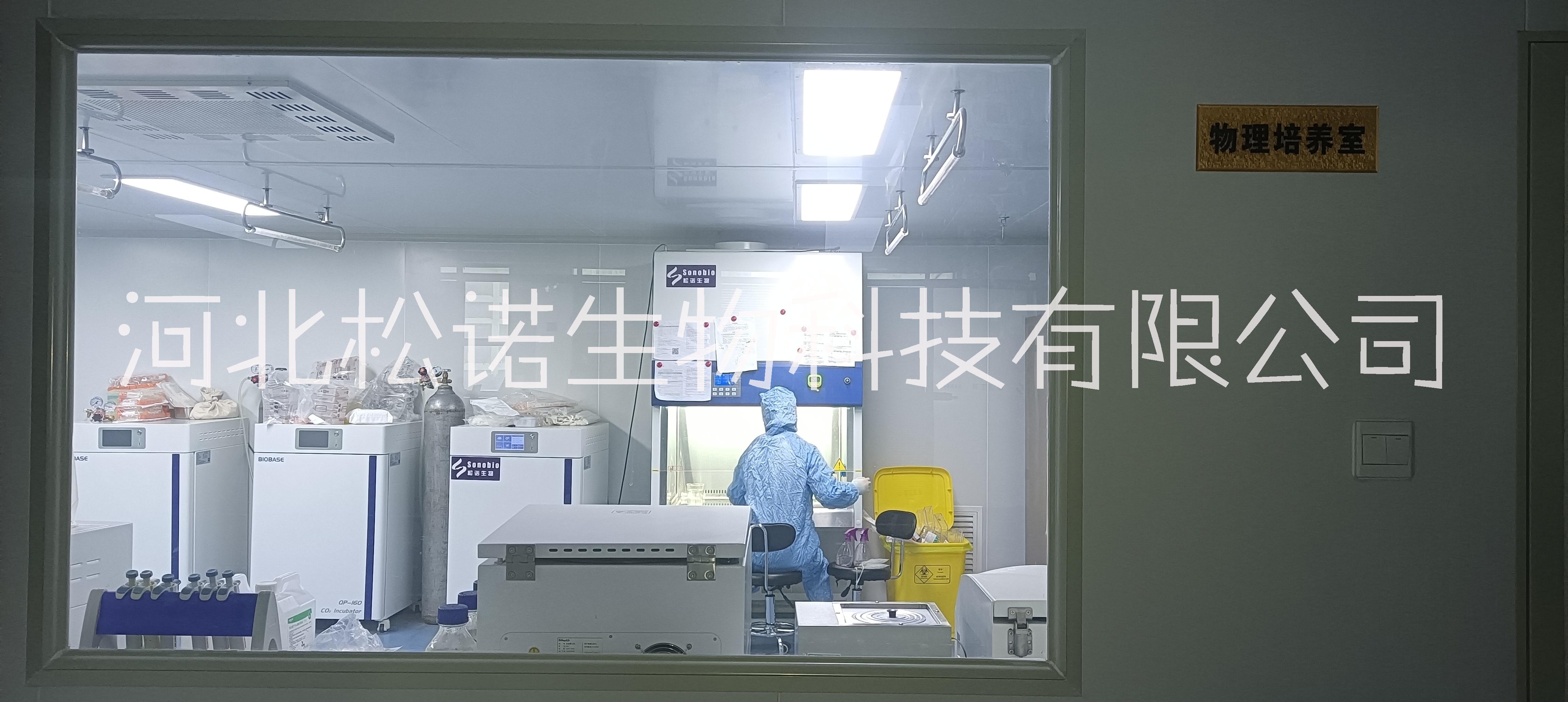 河北松諾干細(xì)胞移植中心