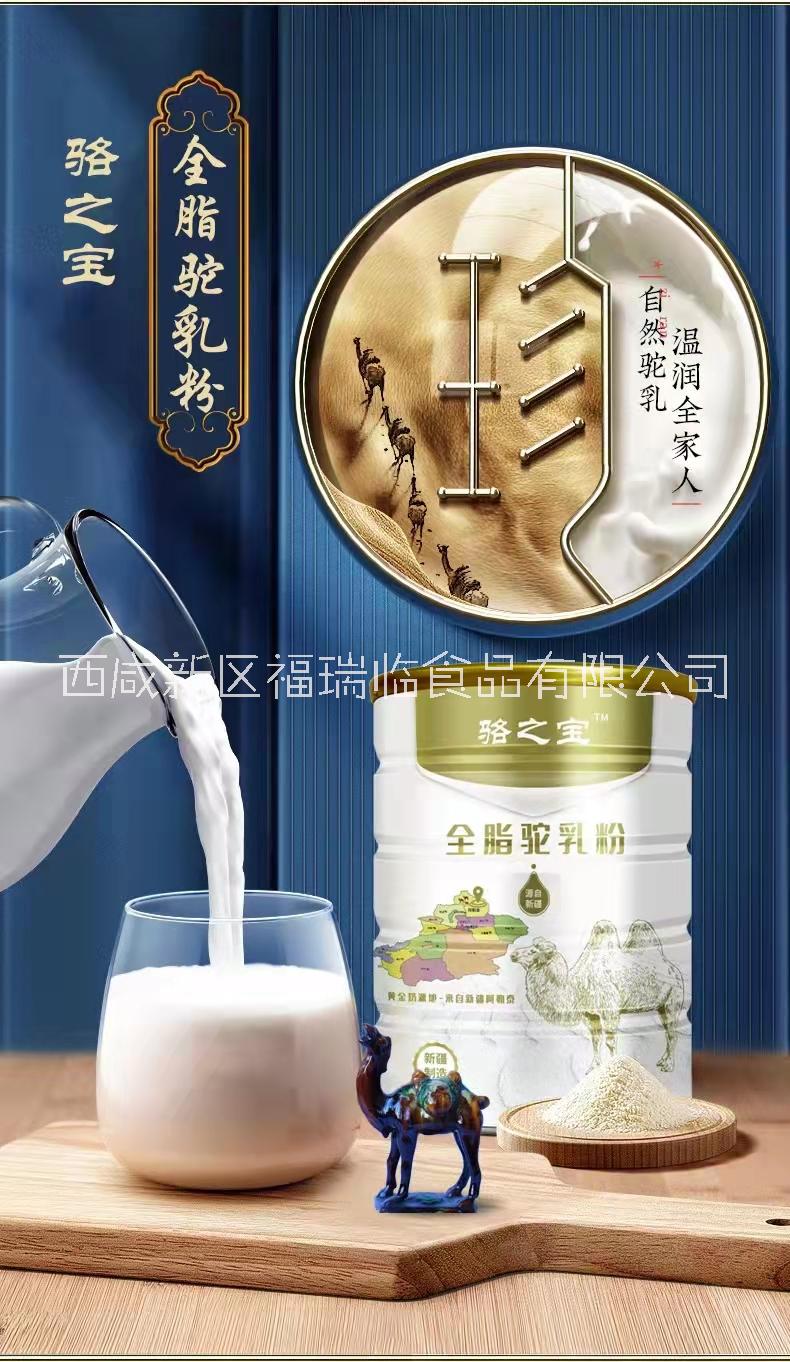 新疆駝奶粉廠家招商 駱之寶駝奶粉