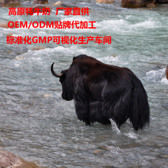 純牦牛奶粉貼牌代加工批發(fā)供應