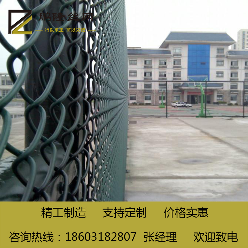河北鵬隆絲網(wǎng) 球場圍欄 羽毛球場圍網(wǎng) 足球場圍網(wǎng) 廠家現(xiàn)貨