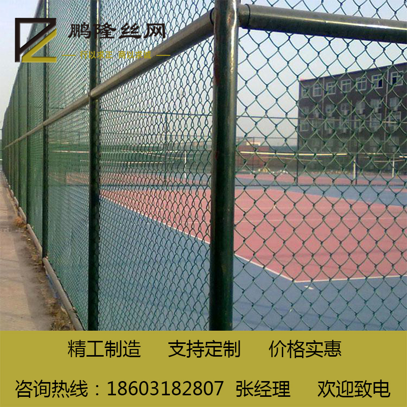 鵬隆絲網(wǎng) 體育場圍網(wǎng) 球場圍欄 冰球場圍網(wǎng) 廠家現(xiàn)貨