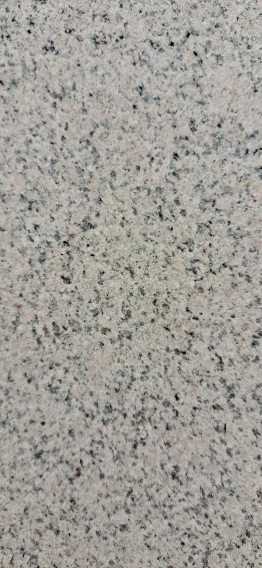 廠家供應(yīng)蝦紅板