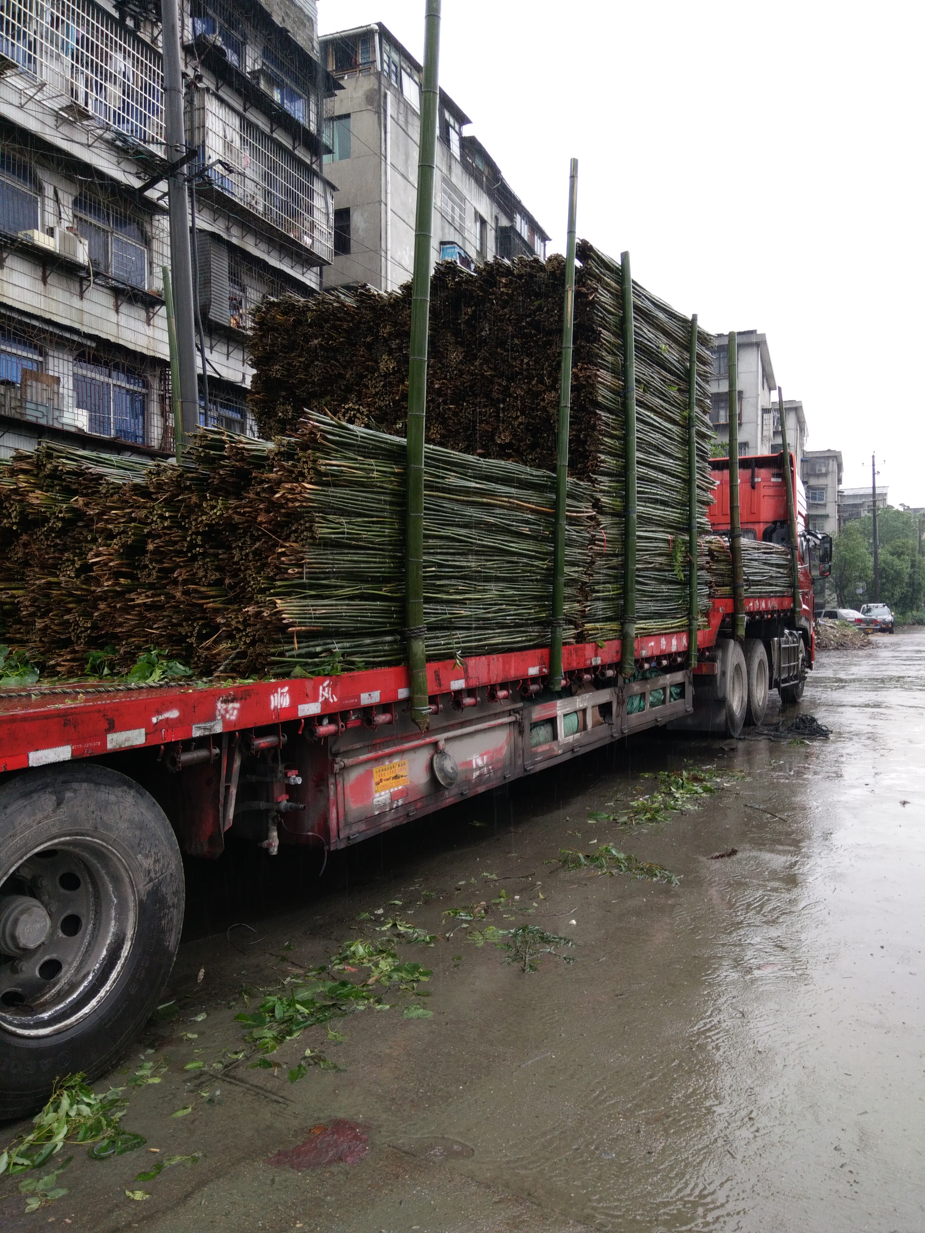 西瓜爬藤架細(xì)長山藥種菜細(xì)竹子葫蘆架條竹竿舞矮菜架竹架絲瓜戶外 種菜竹子