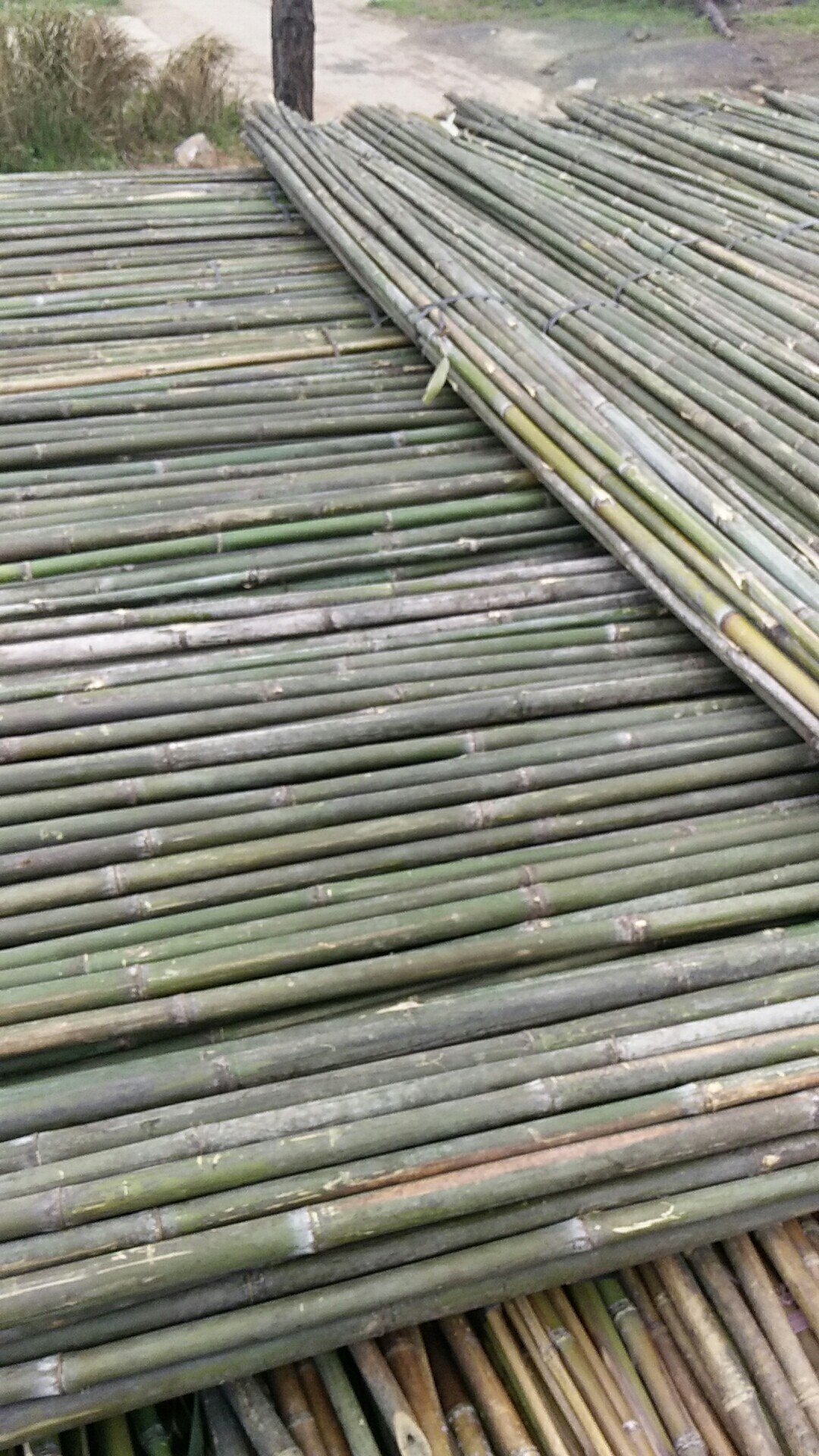 種菜條搭菜架1家用架子竹竿舞扎細(xì)長菜園矮2架竹子圍欄籬笆柵欄米 搭菜架竹