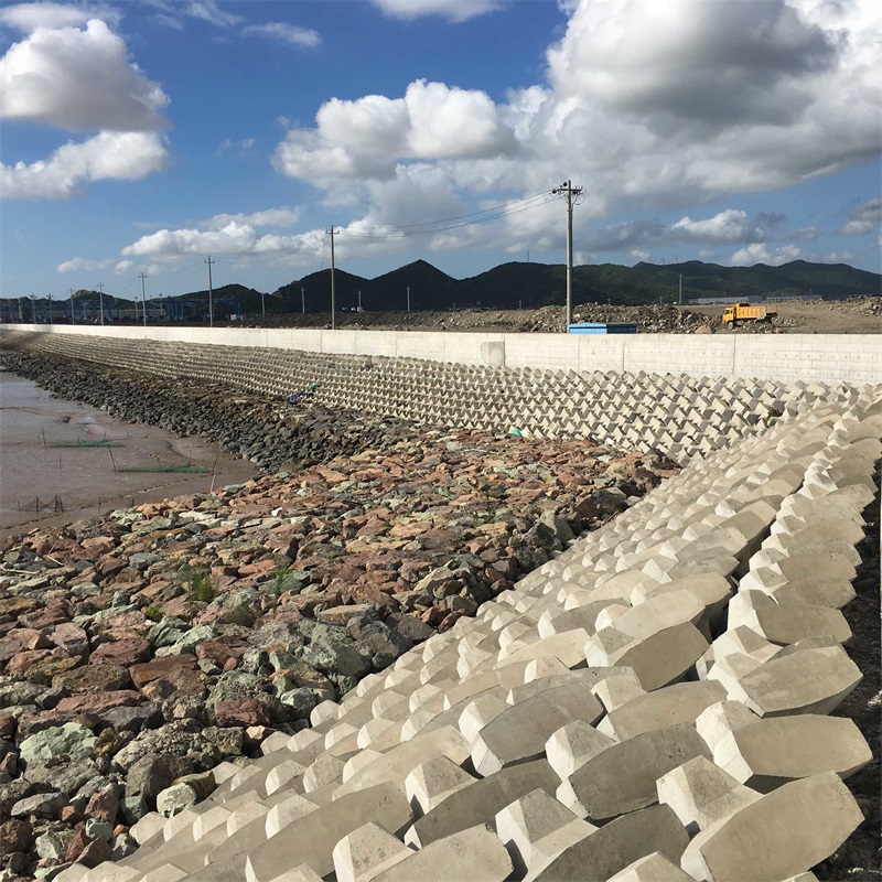 預(yù)制扭王字塊模具水泥扭王字塊模板 雪飛模具 設(shè)計(jì)說明