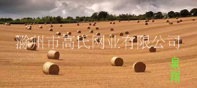 一、認(rèn)識(shí)捆草網(wǎng)(泉翔)