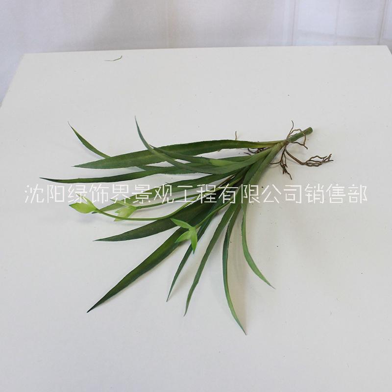供應用于沈陽仿真植物墻室內(nèi)景觀裝飾的仿真人造芒其葉假植物綠植景觀裝飾
