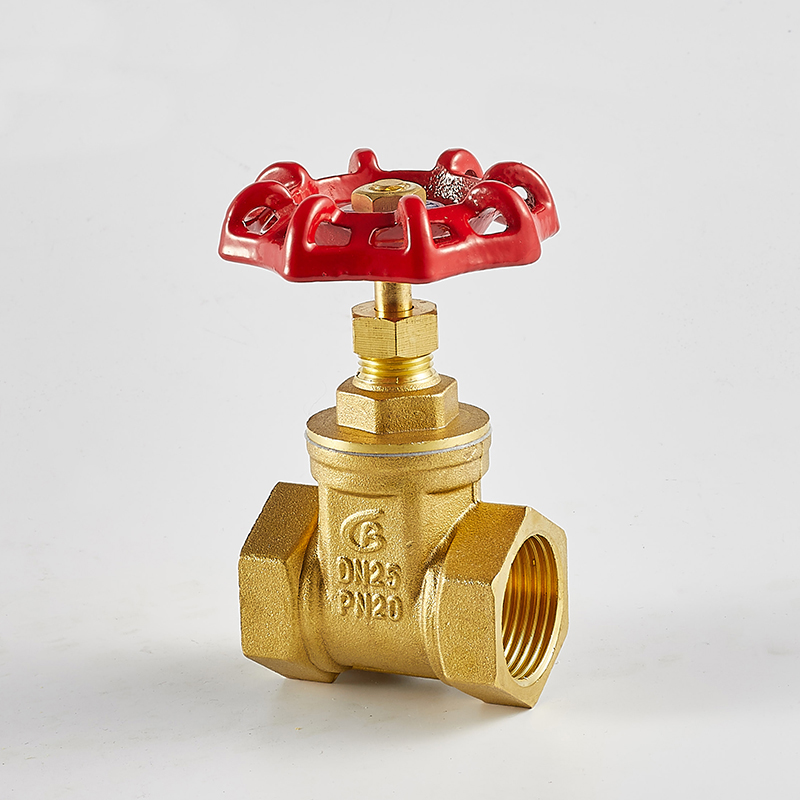 江蘇加長閘閥DN25廠家、加長閘閥DN25供應(yīng)、加長閘閥DN25報價