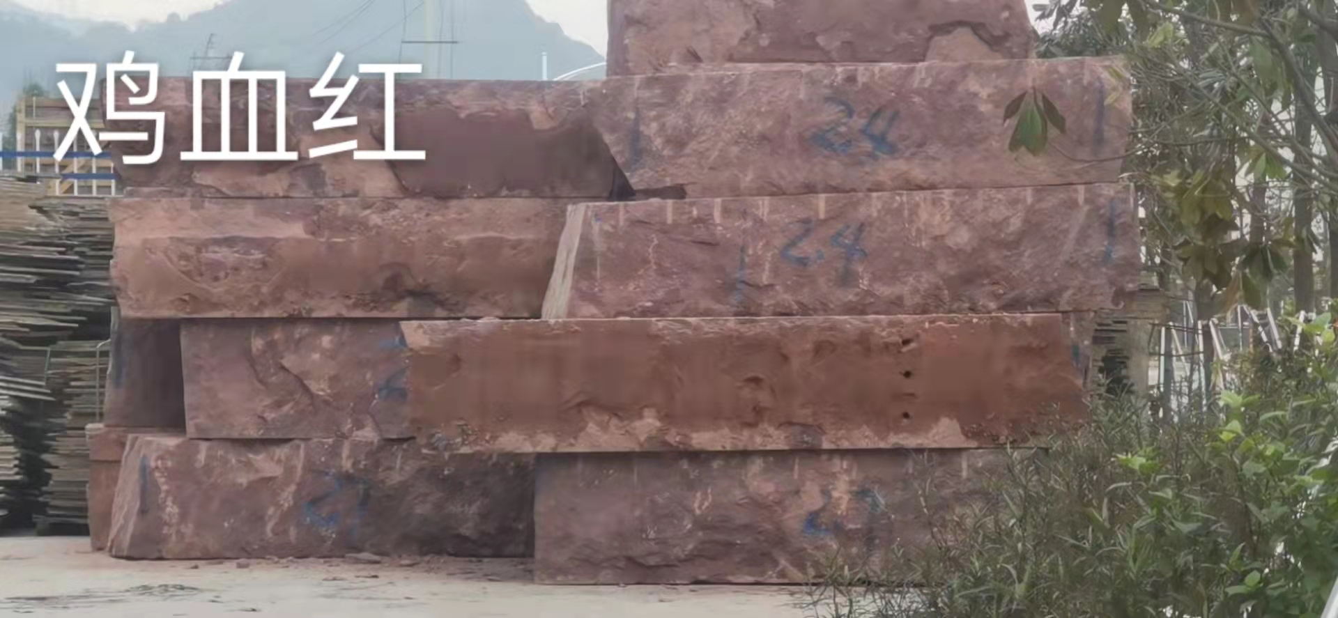 雞血紅 雞血紅廠家 福建雞血紅廠家