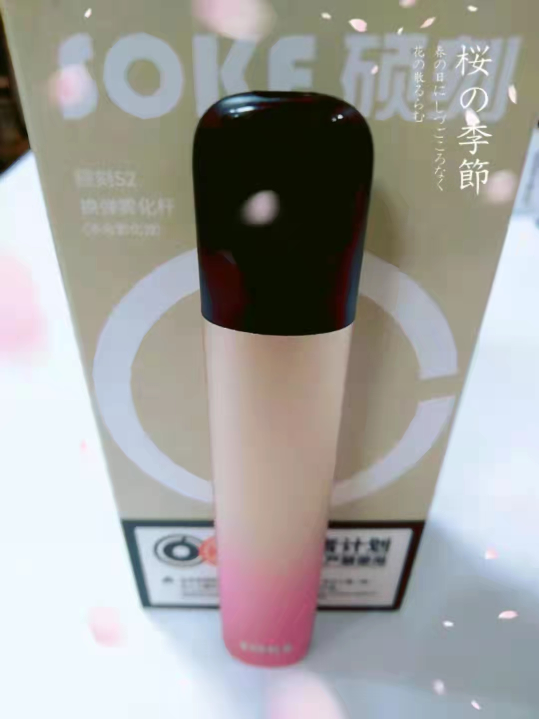 上海浪德L2
