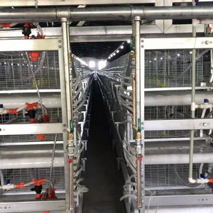 層疊式蛋雞籠 肉雞籠生產(chǎn)廠家 自動化養(yǎng)雞設(shè)備