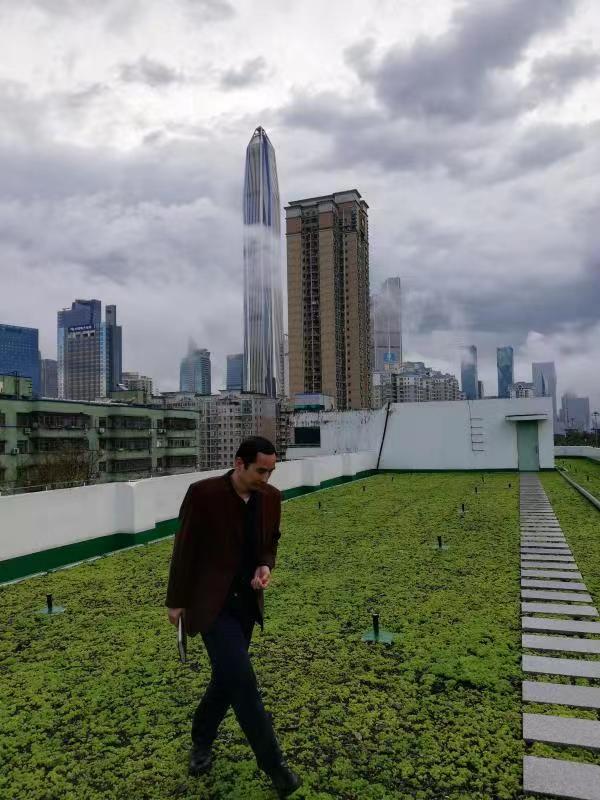 樓頂草坪種植 城市樓頂草坪種植 樓頂草坪種植施工報價