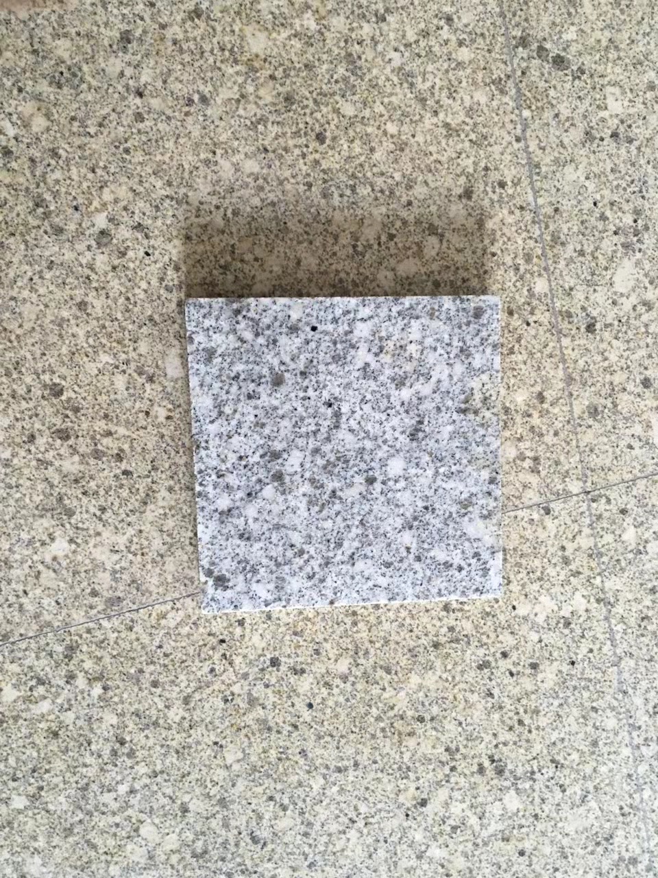 地鋪荔枝面批發(fā)  地鋪荔枝面報(bào)價(jià)