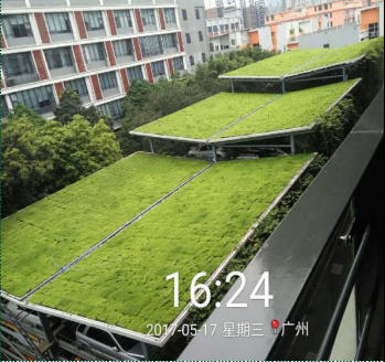 樓頂草坪種植 城市樓頂草坪種植 樓頂草坪種植施工報價