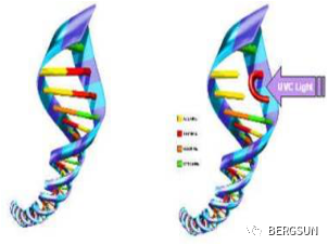 紫外線水處理設(shè)備 紫外線消毒產(chǎn)品 紫外線消毒設(shè)備供應(yīng)商