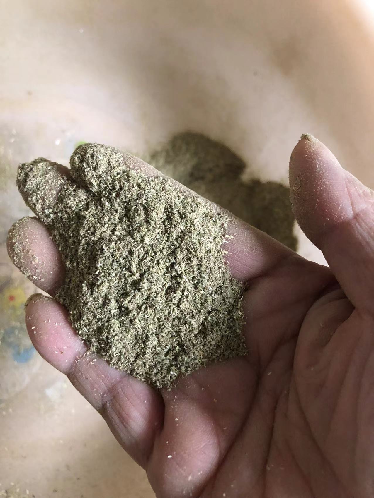 供應(yīng)貓薄荷粉末  貓薄荷粉末多少錢 貓薄荷粉末報價