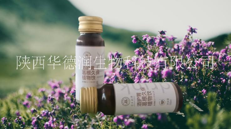 植物飲料 教你如何解酒 參葛姜黃飲植物飲料
