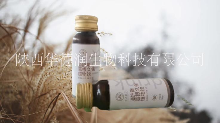 植物飲料 教你如何解酒 參葛姜黃飲植物飲料