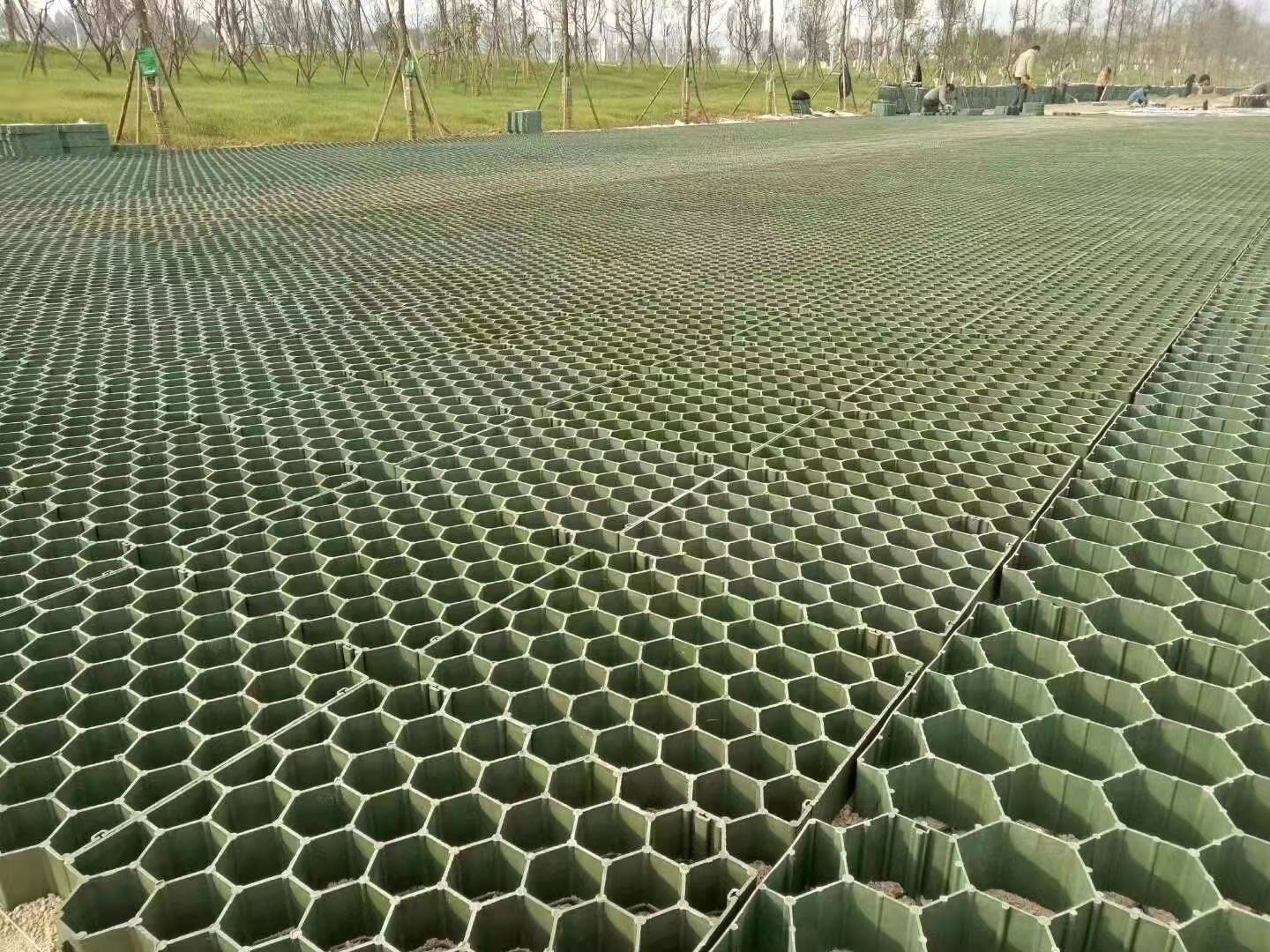 重慶廠家植草格