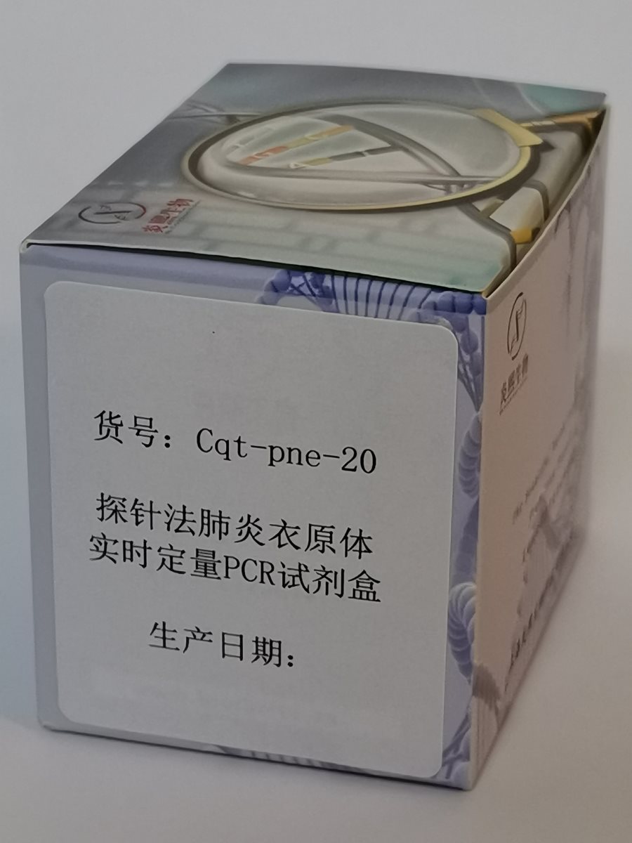 探針法肺炎衣原體實(shí)時(shí)定量PCR試