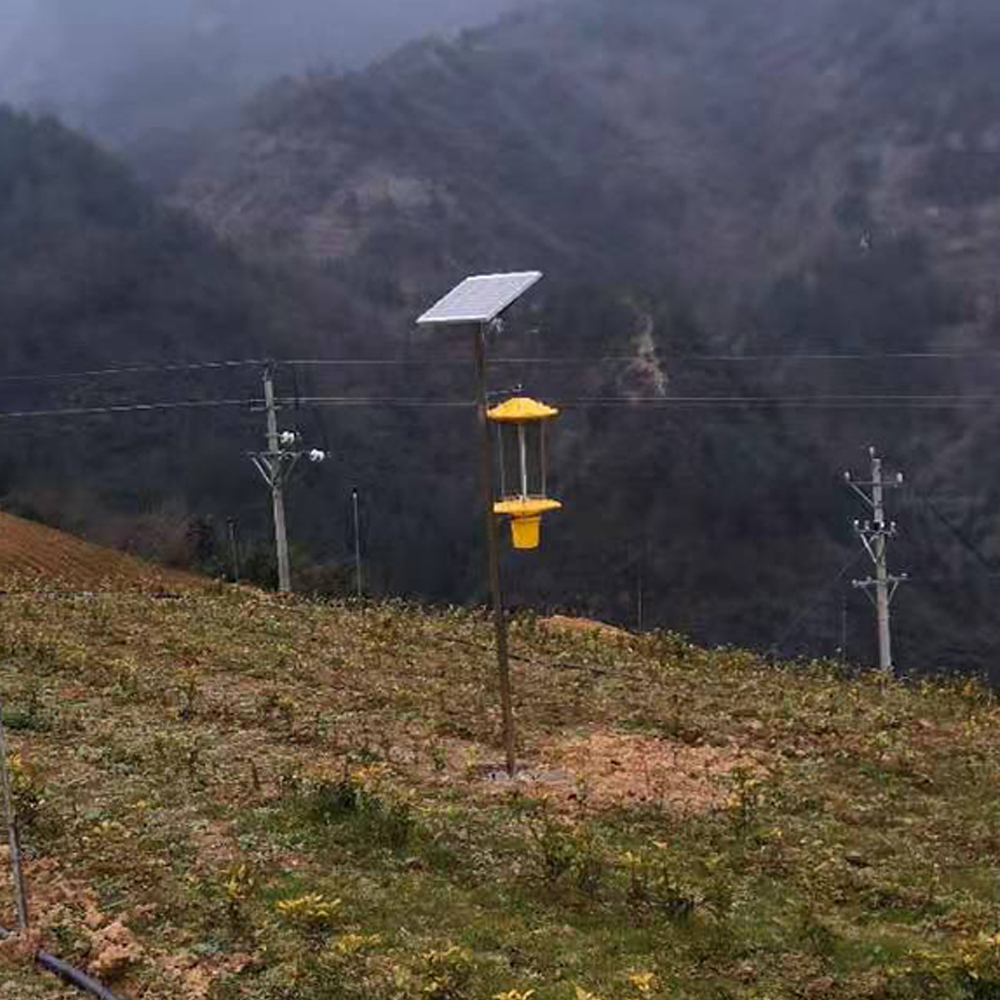 智能農(nóng)林有害生物測(cè)報(bào)預(yù)警系統(tǒng) 自動(dòng)監(jiān)測(cè)誘蟲燈 害蟲殺蟲燈 蟲情監(jiān)測(cè)系統(tǒng)