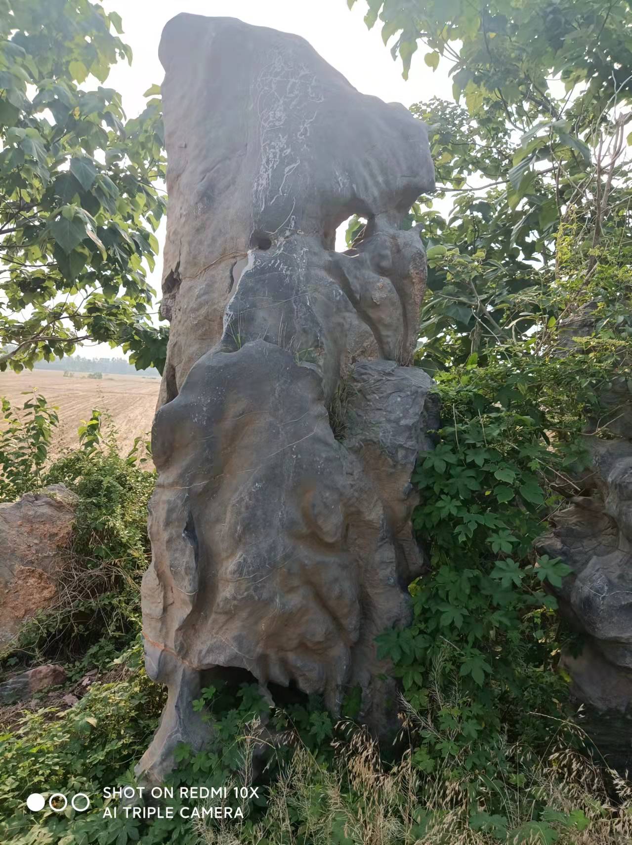 云南大型園林石供應商-大型園林石哪家好-大型園林景觀石